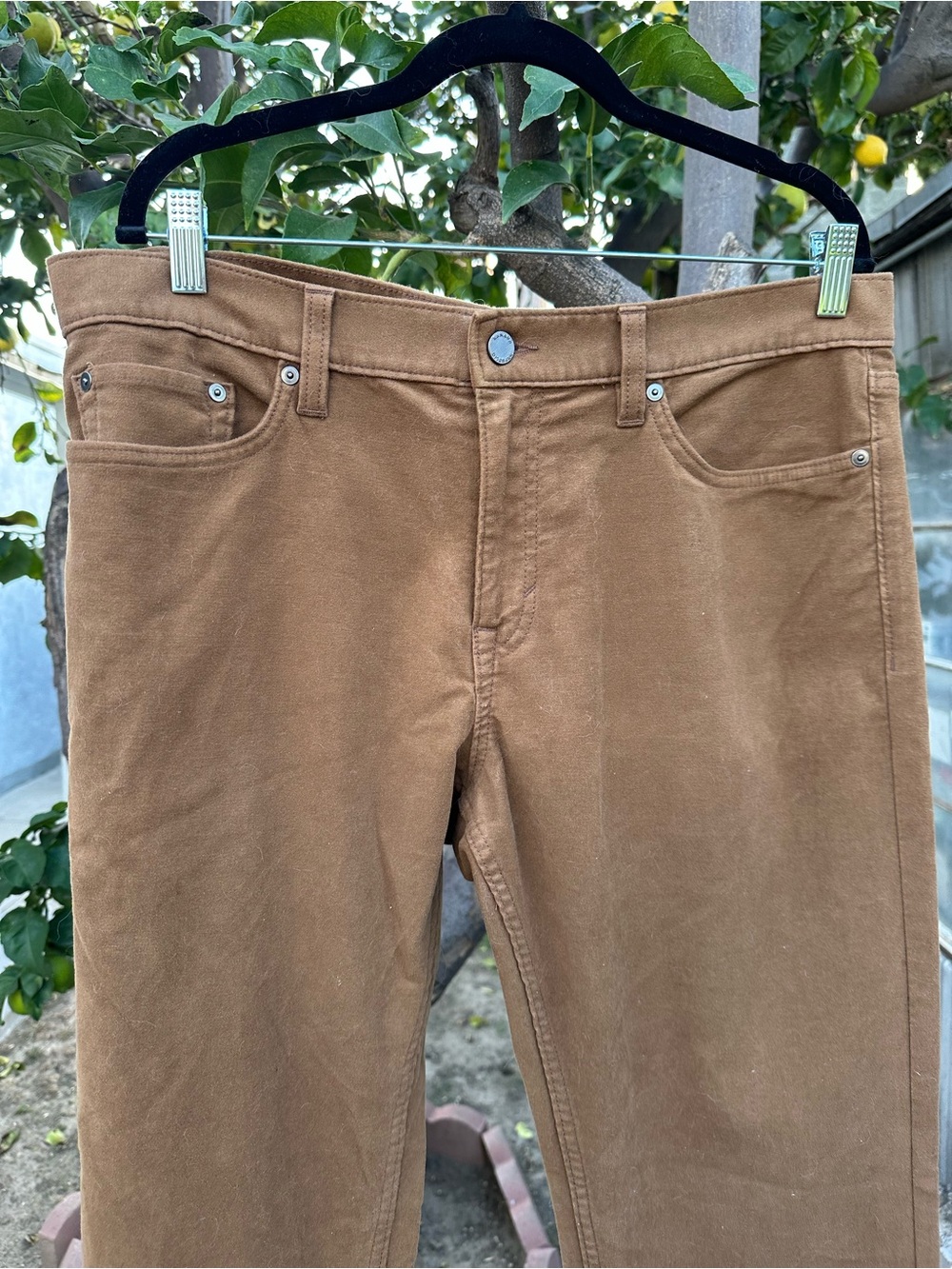 Banana Republic Traveler Brown Pants